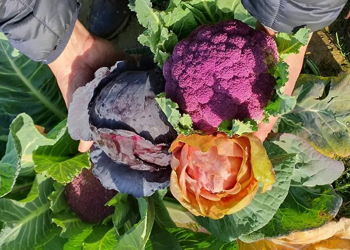 Resort-le Terre Dei Cavalieri Отель 3*