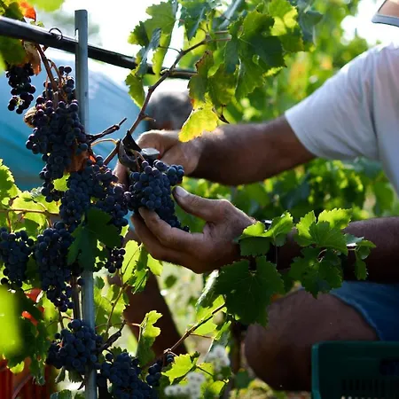 Resort-le Terre Dei Cavalieri
