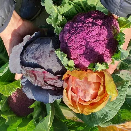 Resort-le Terre Dei Cavalieri Hotel 3*