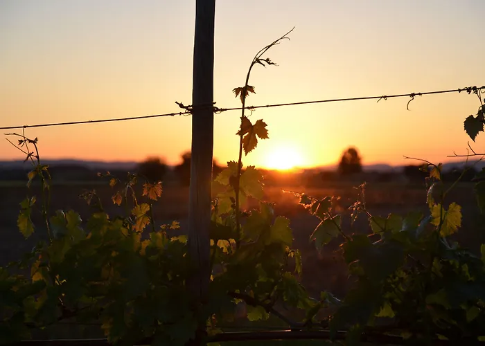 Resort-le Terre Dei Cavalieri Hotel