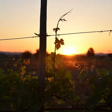 Resort-le Terre Dei Cavalieri Ξενοδοχείο