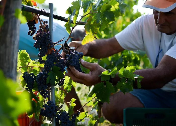 Resort-le Terre Dei Cavalieri